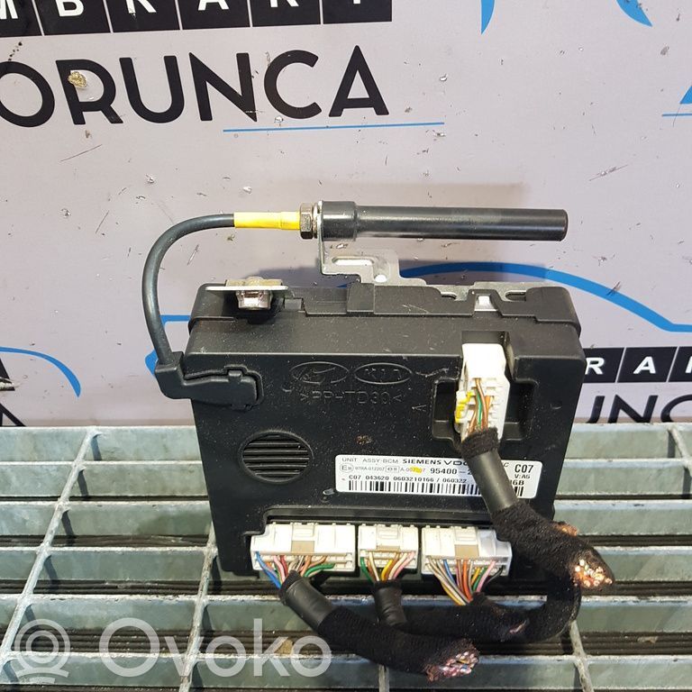 Hyundai Santa Fe Other control units/modules 