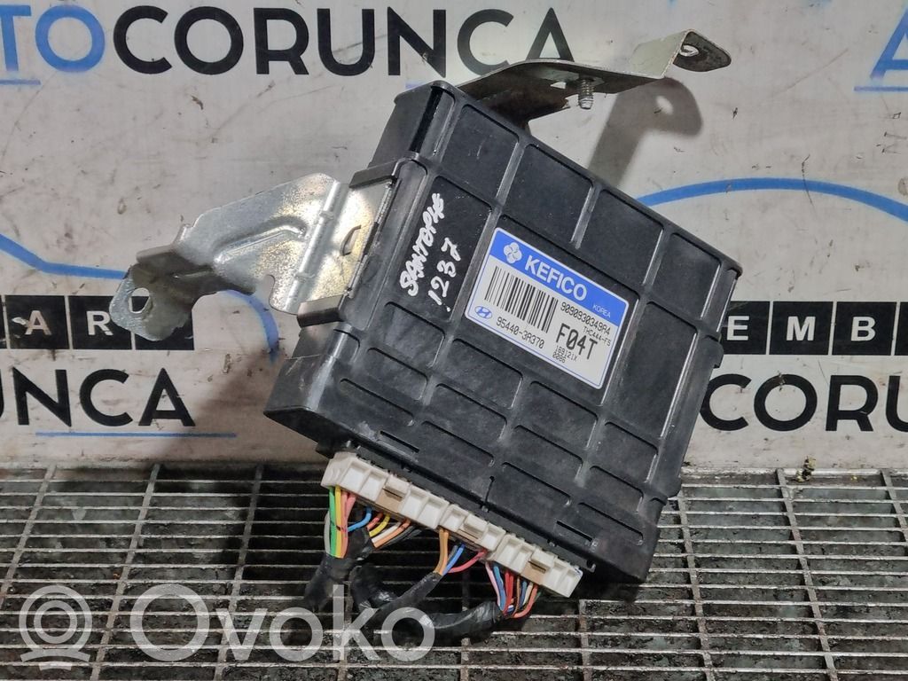 Hyundai Santa Fe Alte unități/module de control 