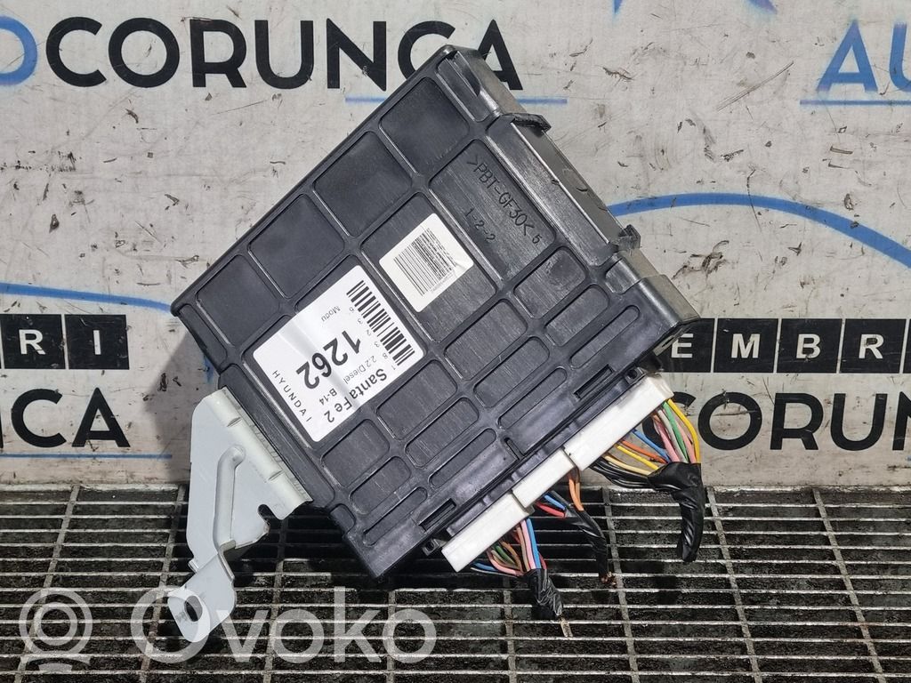 Hyundai Santa Fe Inne komputery / moduły / sterowniki 
