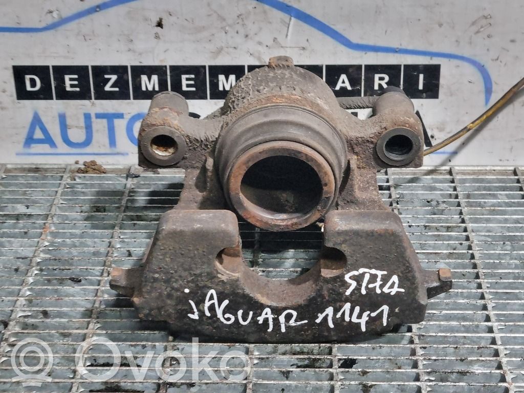 Etujarrusatula   T2H22654
