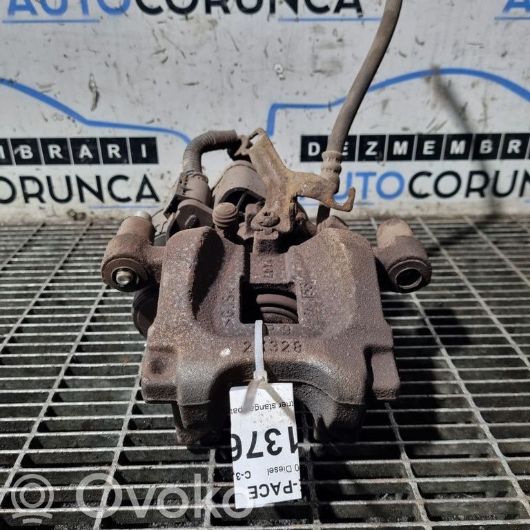 Takajarrusatula   JK722K328AA
