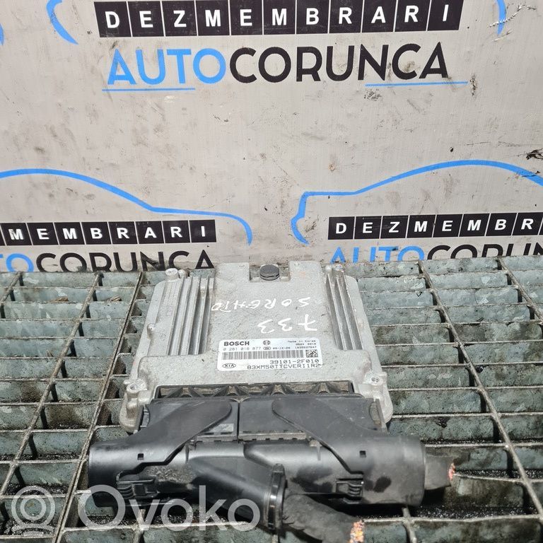 Engine control unit/module ECU   0281016877,1039S37847,391012F010