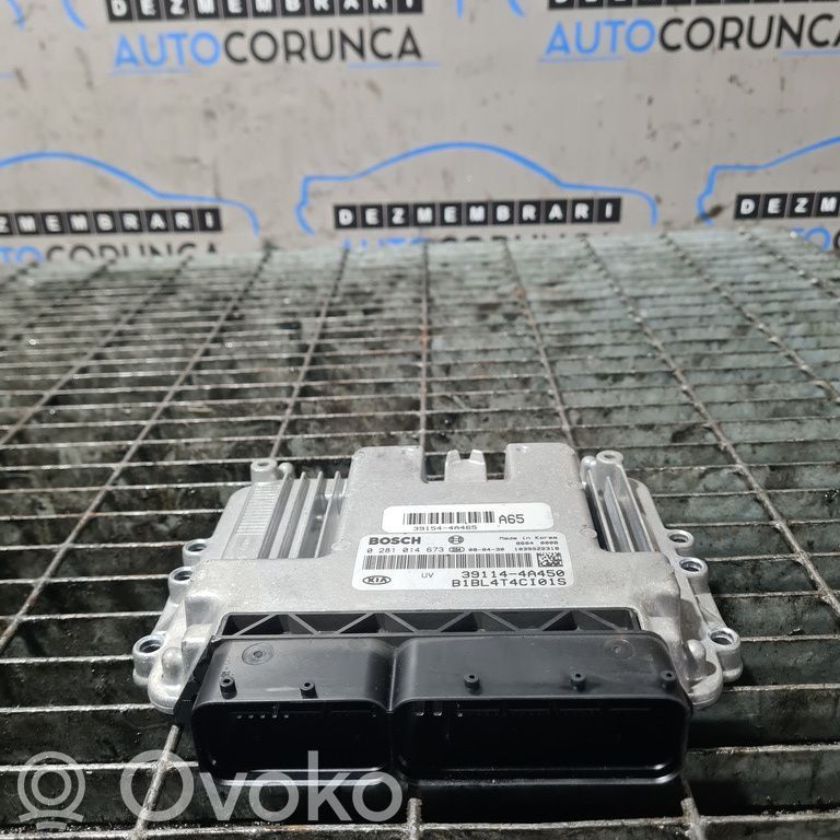 Komputer / Sterownik ECU silnika   0281014673,1039S22318