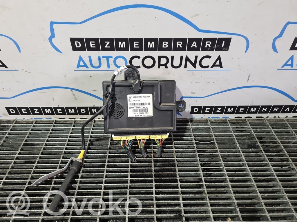 Autres unités de commande / modules   954113E810