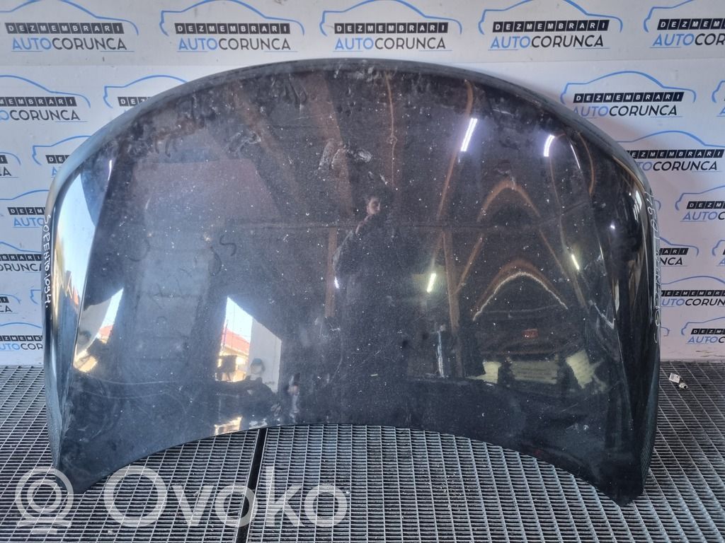 Engine bonnet/hood