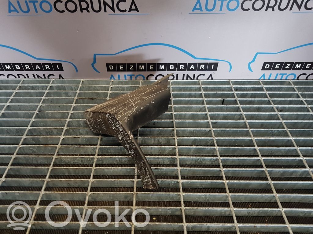 Listón   DREAPTAFATA