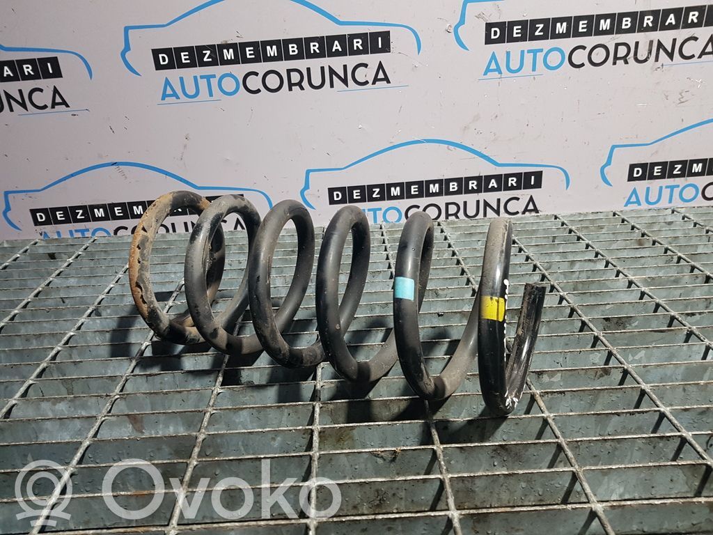 Rear coil spring
