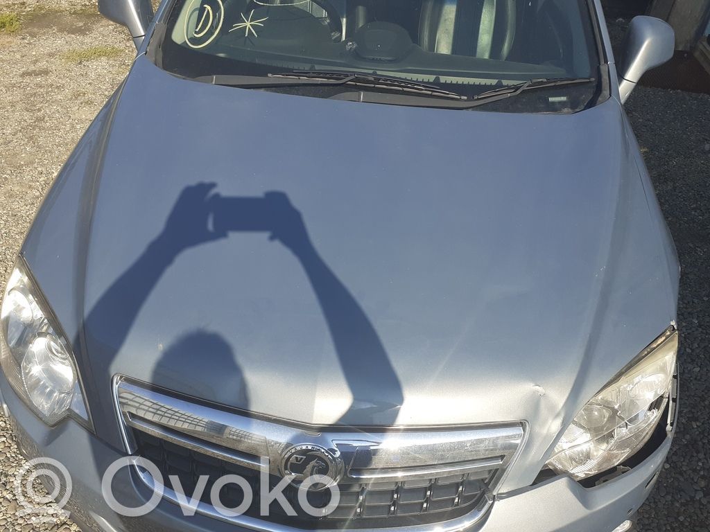 Engine bonnet/hood