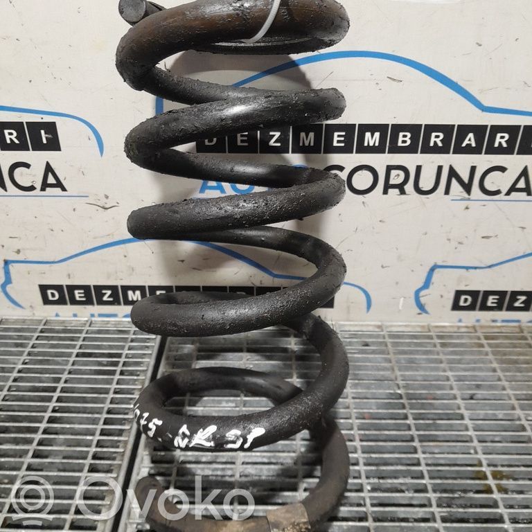 Muelle espiral trasero