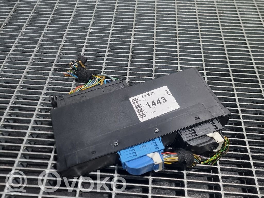 BMW X5 E70 Other control units/modules 
