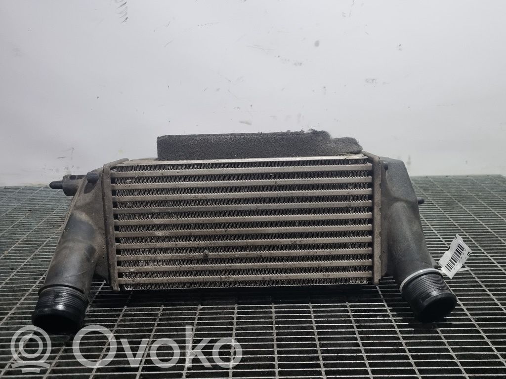 Ford Ecosport Radiador intercooler 