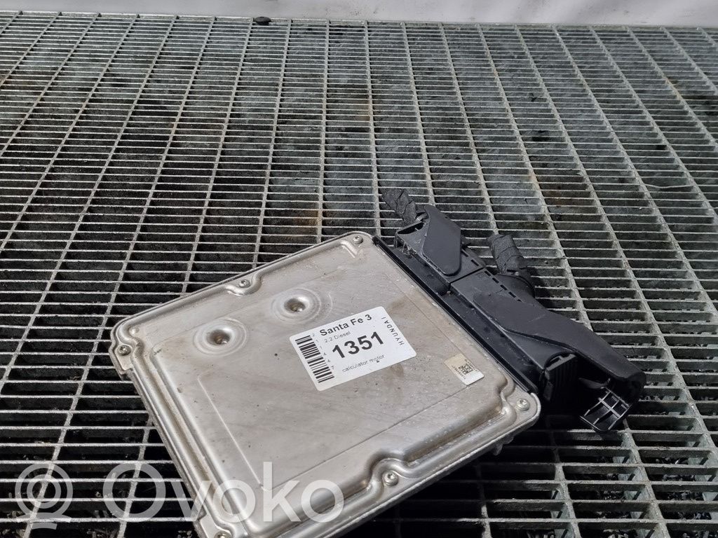 Hyundai Santa Fe Engine control unit/module ECU 