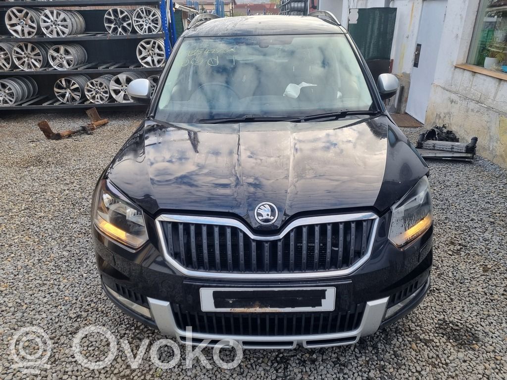 Skoda Yeti (5L) Vetro del finestrino della portiera posteriore 