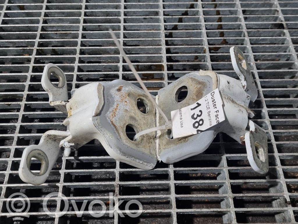 Juego de bisagras de la puerta trasera