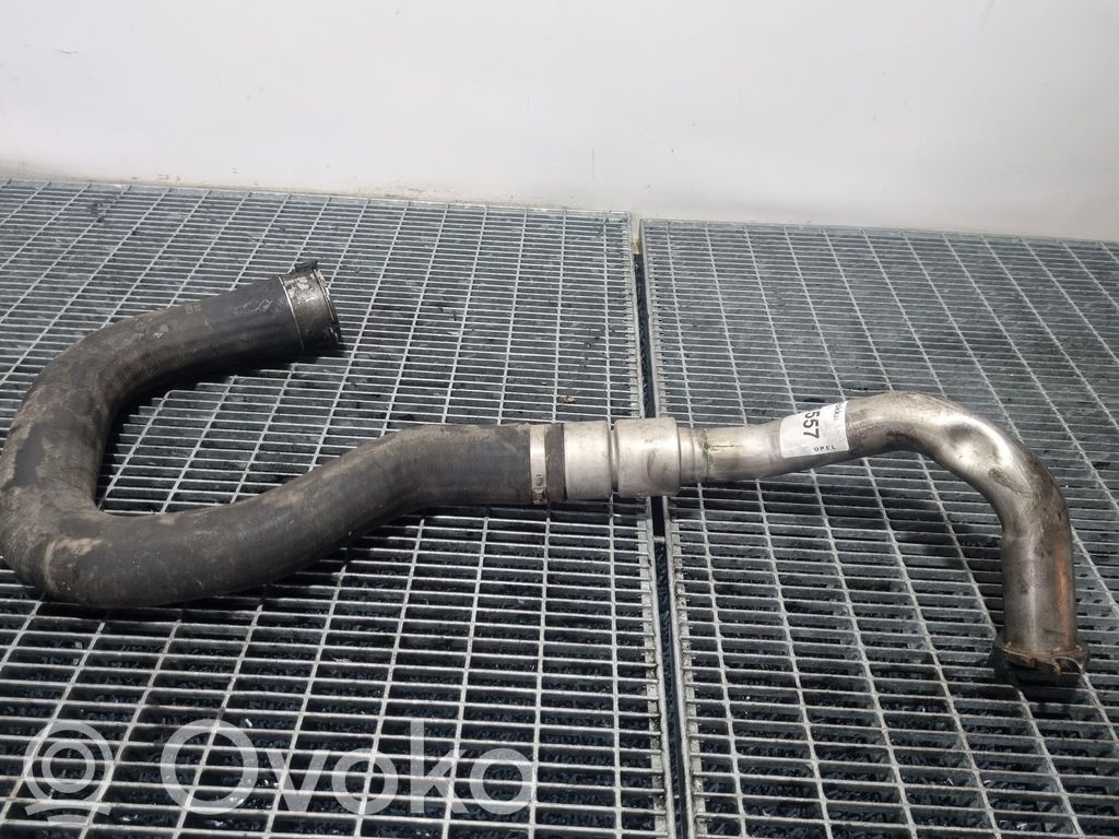 Wąż / Rura intercoolera   95091769