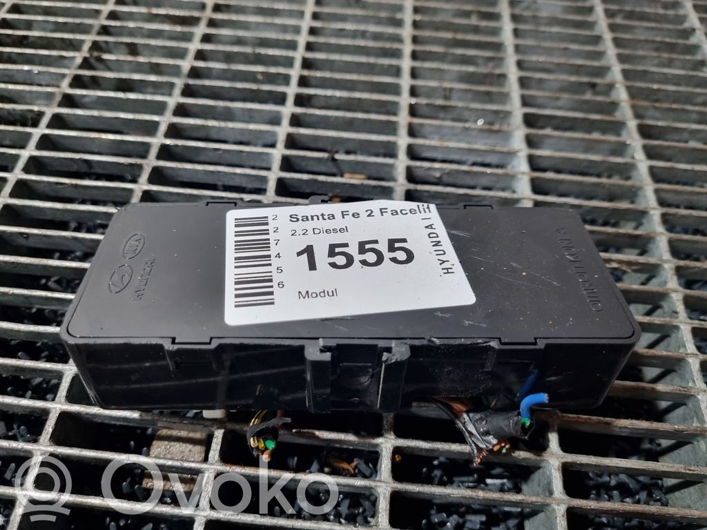 Hyundai Santa Fe Alte unități/module de control 