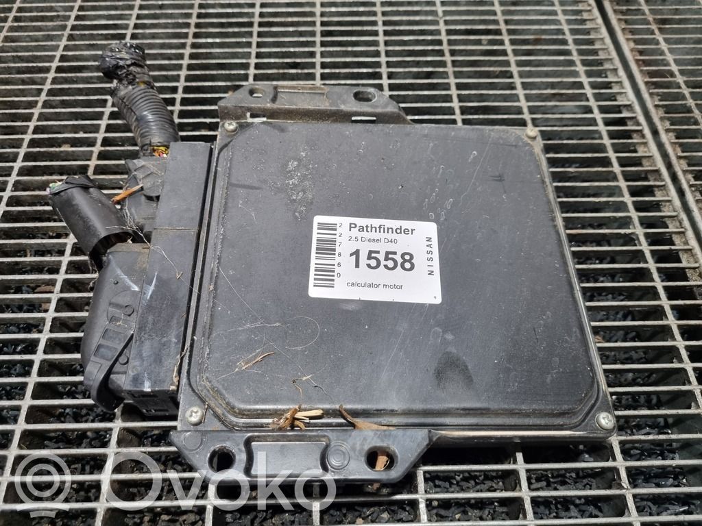 Nissan Pathfinder R51 Centralina/modulo motore ECU 