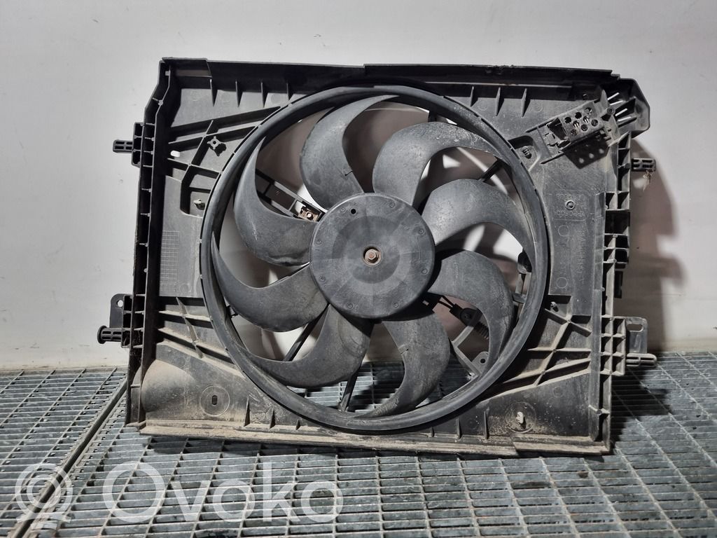 Ventilator electric răcire radiator   214818009RB
