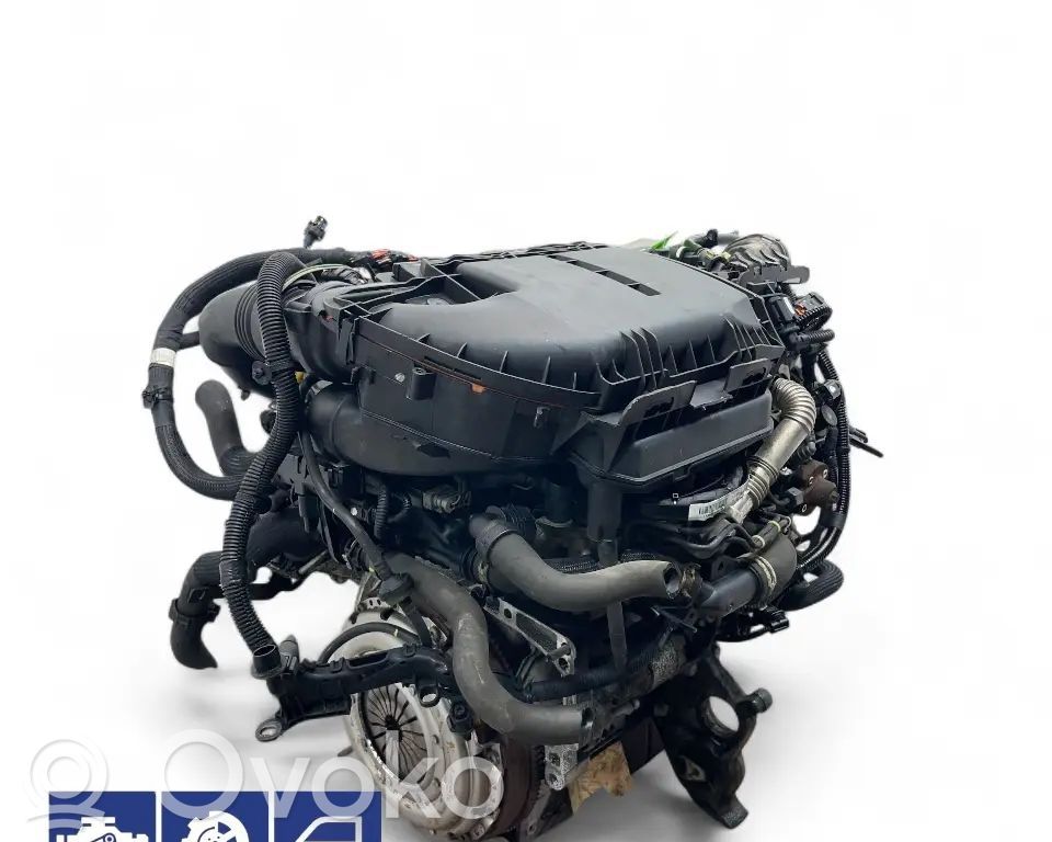 Motor   DV6DTED,9HF,0135SW,0139XC