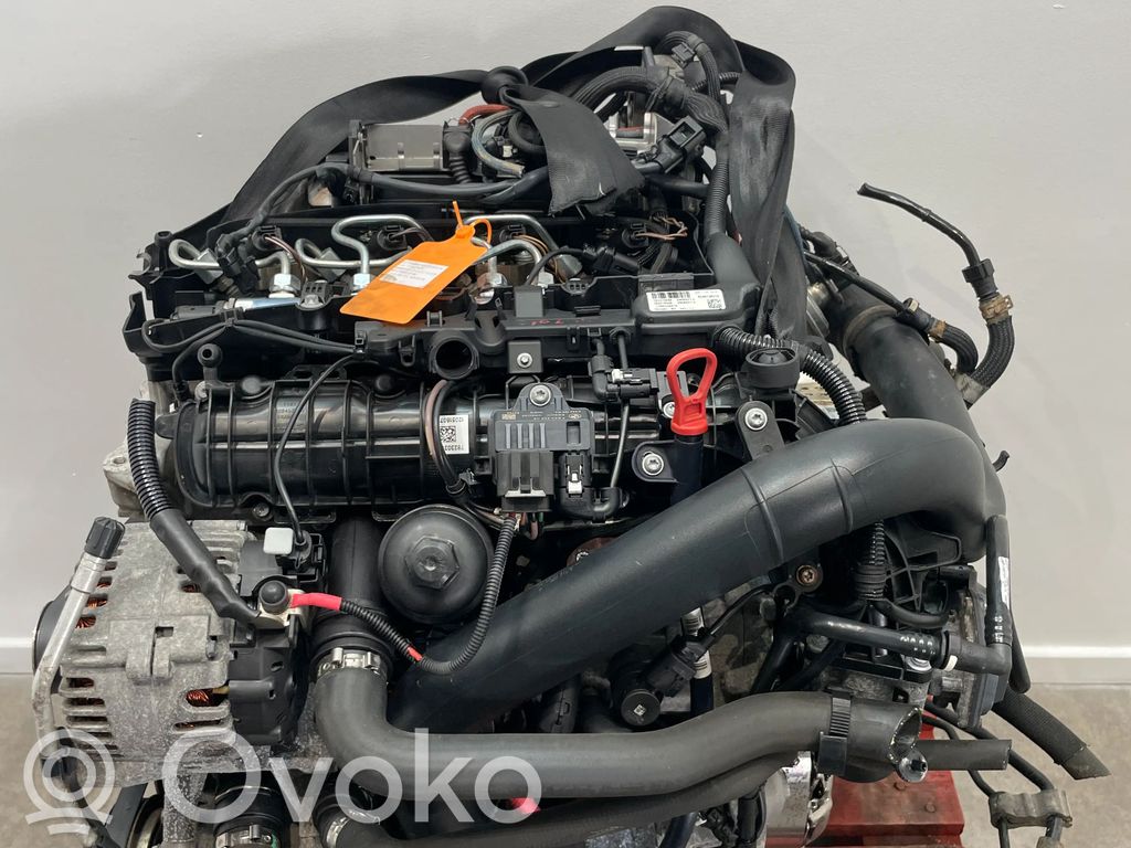 Variklis   N47C16A,N47C16U1,11002219947,11002219948