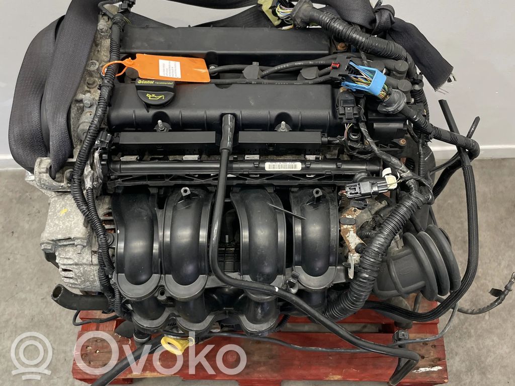 Ford Focus Motor 