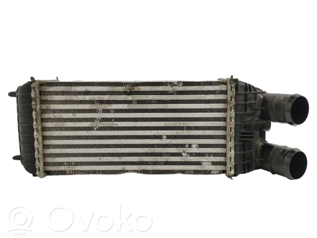 Intercooler radiator   9803900780