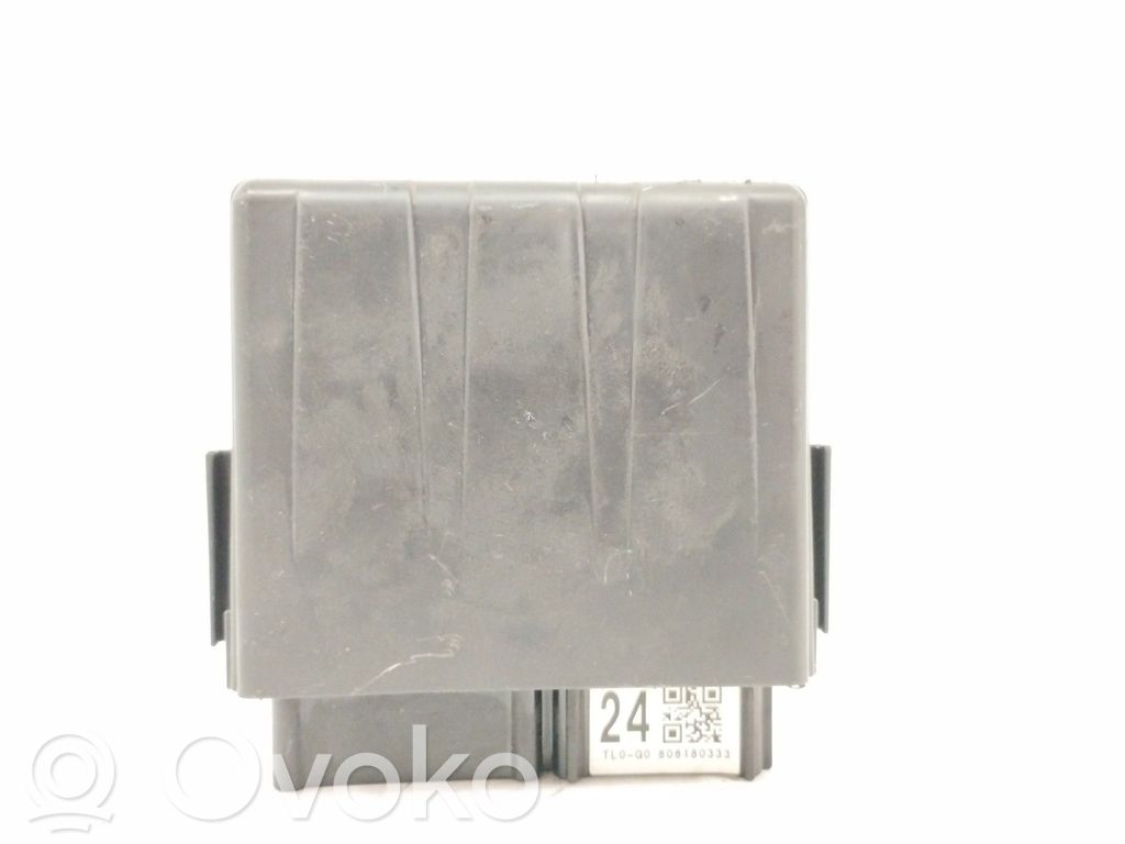 Other control units/modules   TL0G0