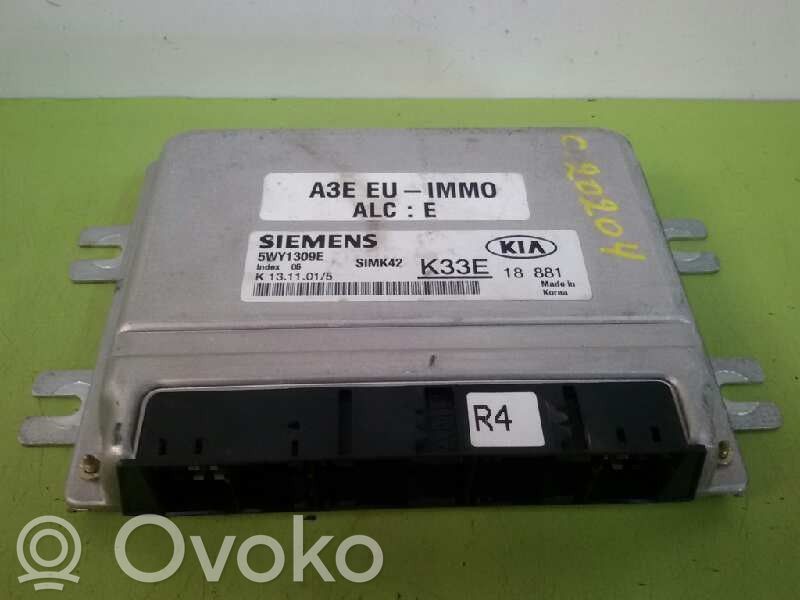 KIA Rio Engine control unit/module 