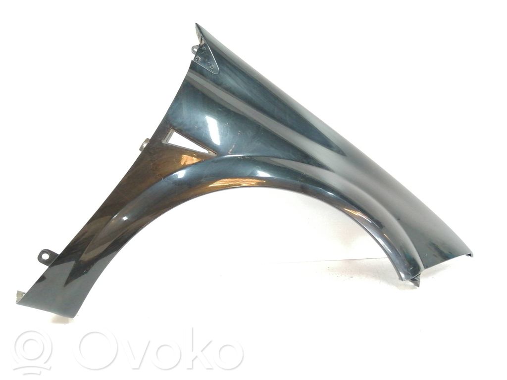 Guardabarro   8200011077