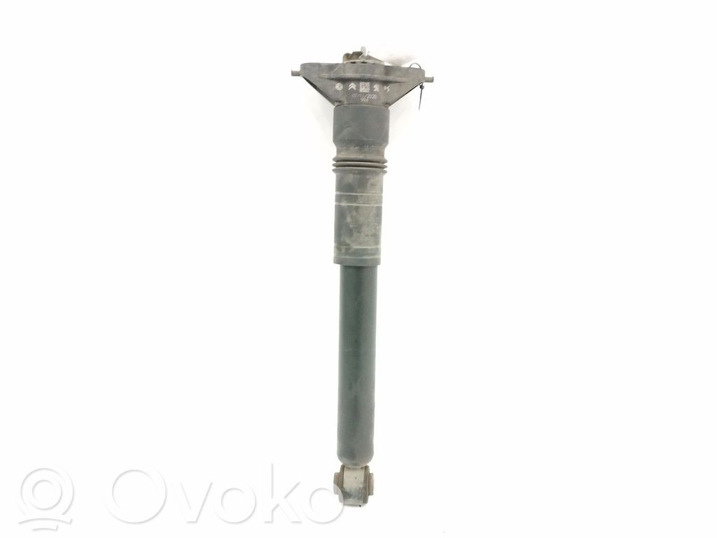 Stoßdämpfer hinten   9841379480
