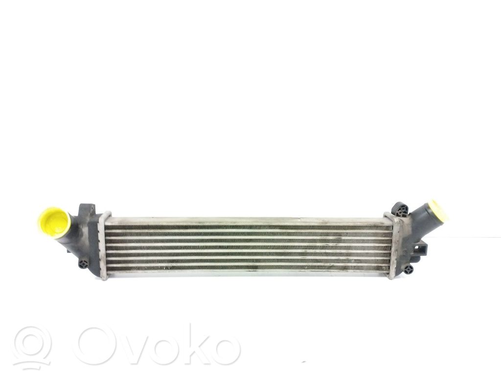 Radiador intercooler   8200732390C