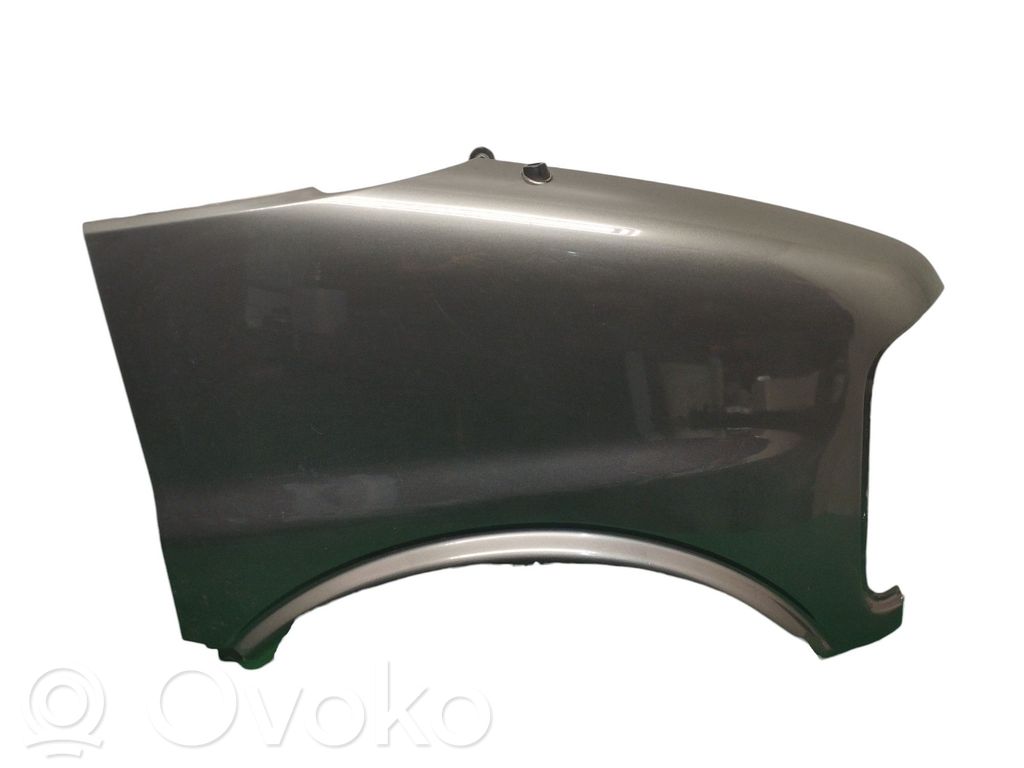 Guardabarro   12549270