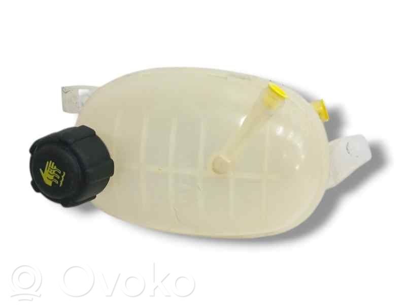 Kuro išsiplėtimo bakelis   217101878R