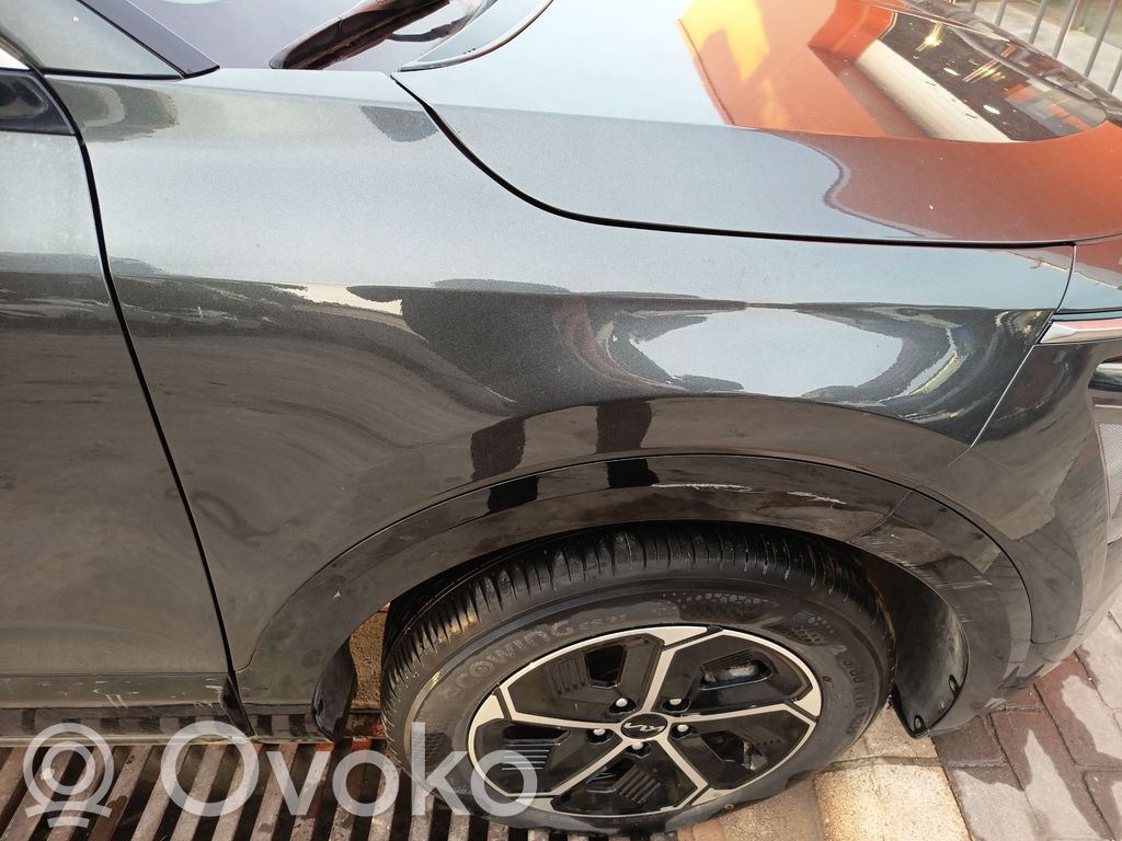 KIA Niro Guardabarro 