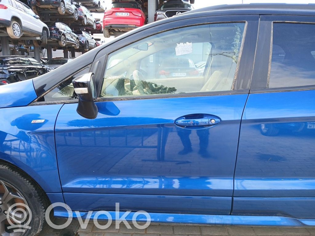 Priekinės durys   2400874