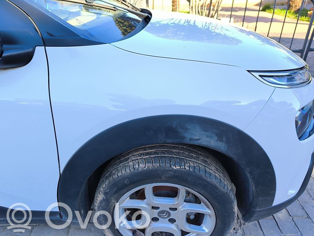 Citroen C4 SpaceTourer Sparnas 