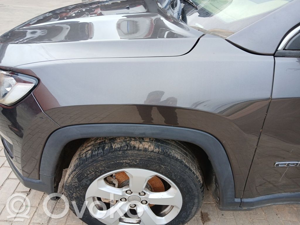 Jeep Compass Sparnas 