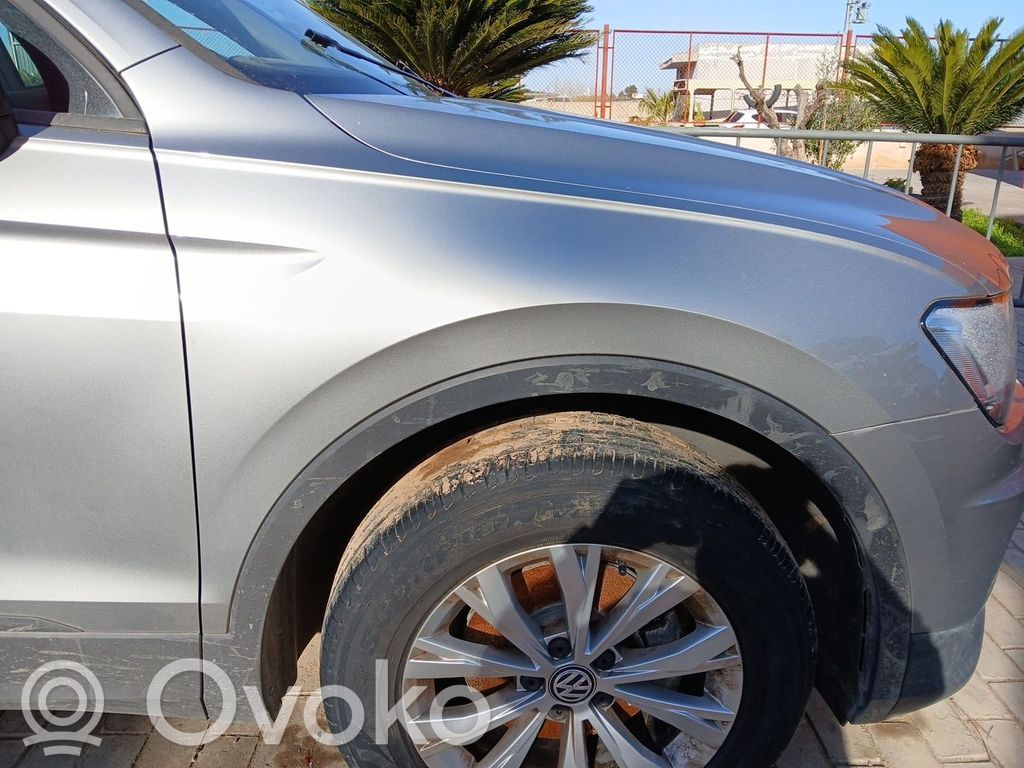 Volkswagen Tiguan Aripă 