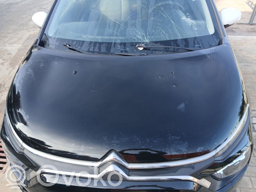 Motorhaube   9812723280