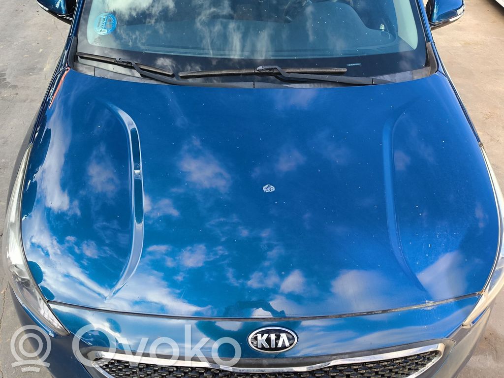 KIA Niro Capotă motor 