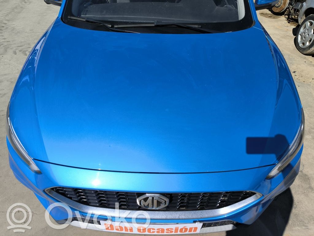 Engine bonnet/hood
