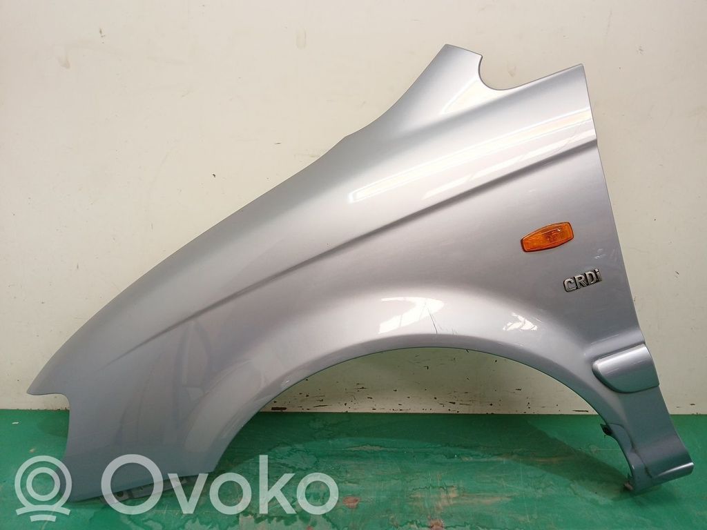 Guardabarro   663113A210