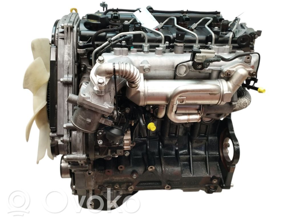 Variklis   D4CB