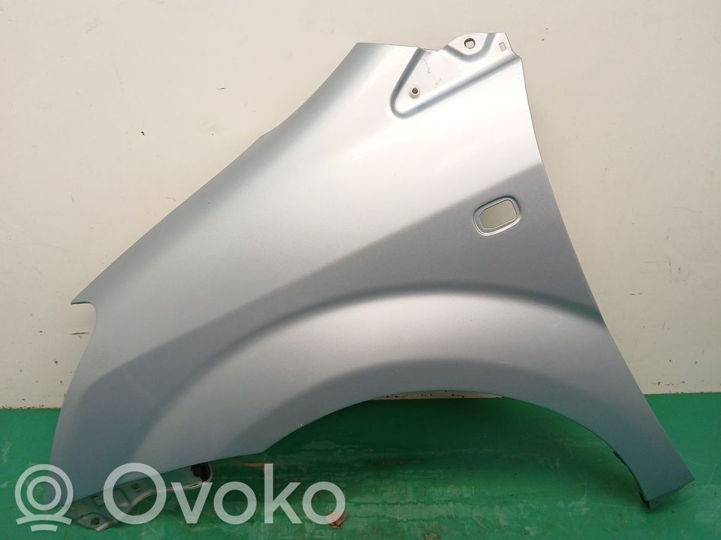 Guardabarro   538120F010