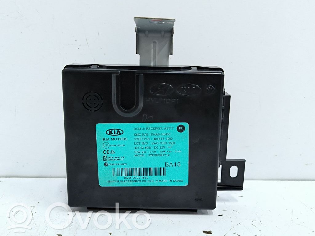 Sonstige Steuergeräte / Module   954A0H8450,40Y8T51000