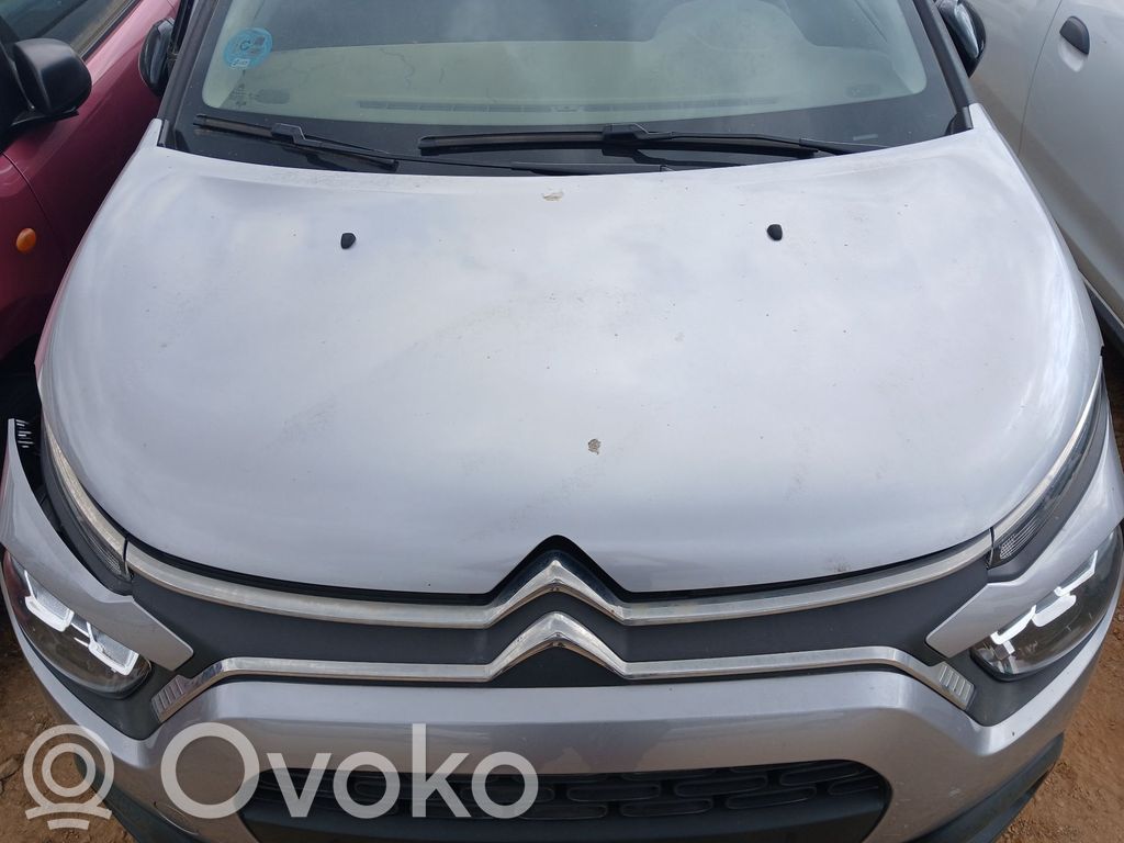 Motorhaube   9812723280