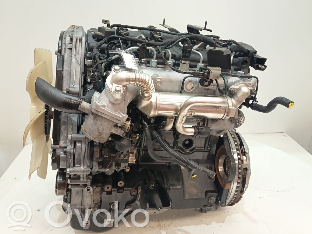 Motor   D4CB