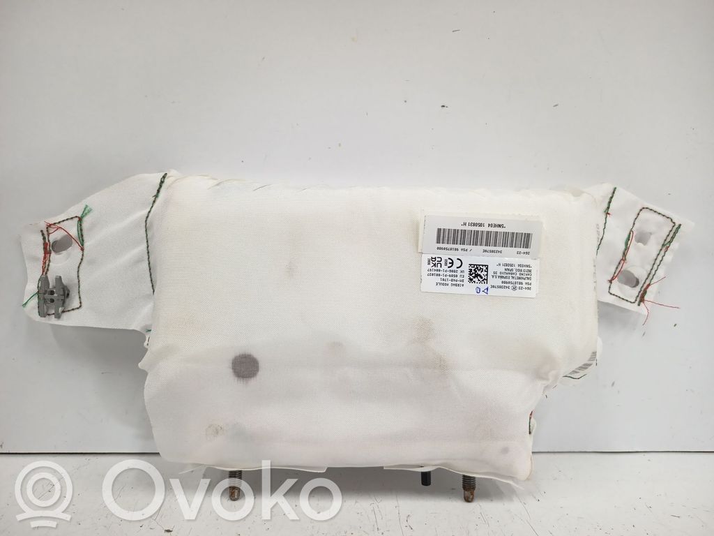 Airbag lateral   9818750980