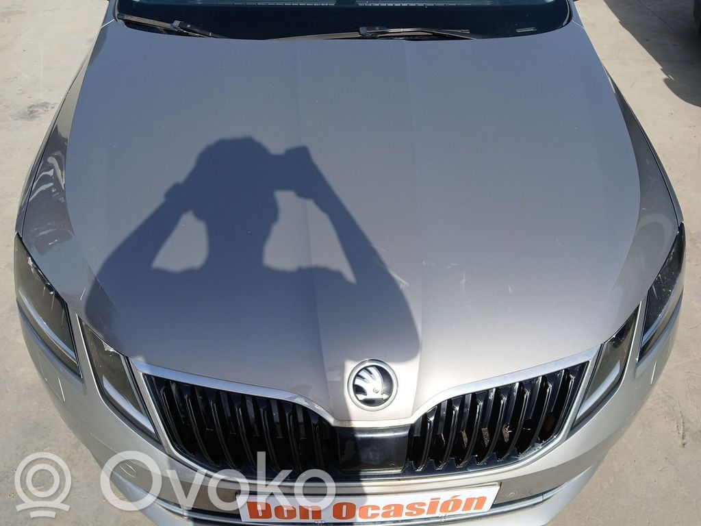 Skoda Octavia Mk3 (5E) Capotă motor 