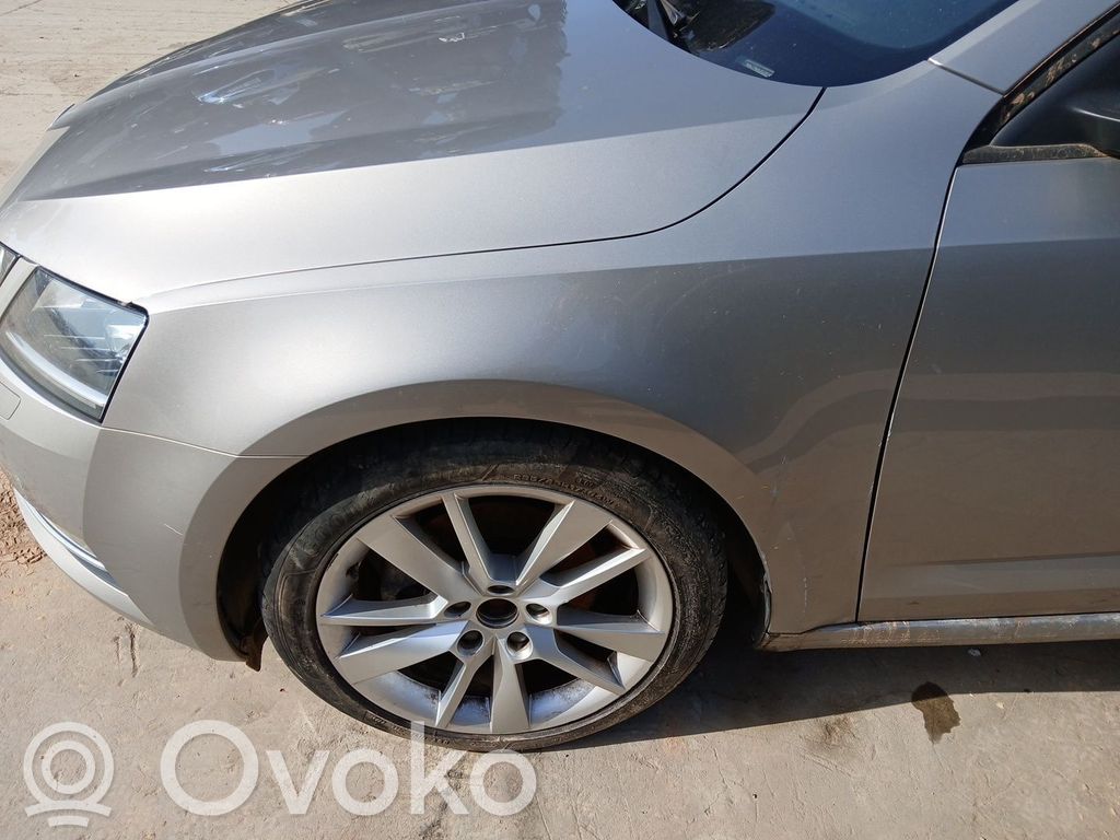 Skoda Octavia Mk3 (5E) Parafango 